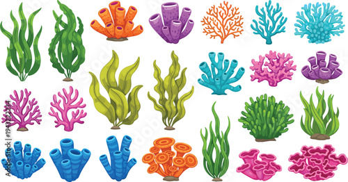 Colorful coral reef and seaweed collection underwater marine plants ocean ecosystem cartoon flat vector illustration set