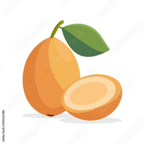 Modern flat 2D vector illustration of Sapodilla, clean and minimal design, isolated on white background.