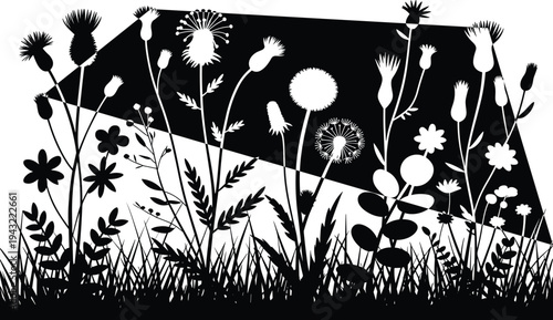 A black and white of various wildflowers and plants growing in a field with a geometric shape in the background