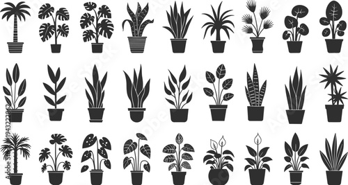 Collection of black and white potted plant in various styles and shapes potted plants indoor plants