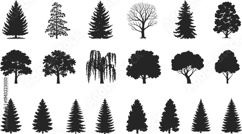 Collection of black and white silhouettes of various trees and coniferous plants arranged in rows
