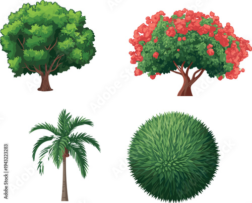 Four Different Types of Trees with Green and Red Leaves and a Palm Tree green leaves nature