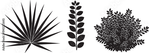 Black silhouette set of tropical palm leaf, elegant leafy branch, dense foliage bush, exotic plant clusters, minimalist botanical elements vector collection