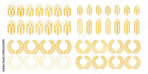 Collection of golden wheat stalks and laurel wreaths arranged on white