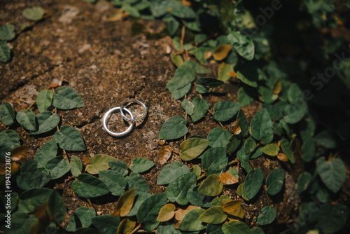 Wedding Rings Placed on Forest Ground with Leaves
