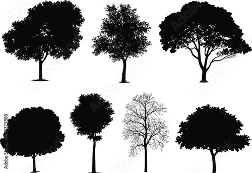 Seven black and white silhouettes of different tree shapes and structures nature
