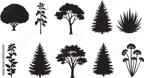 Black silhouette tree set, various shapes including pine fir acacia bush agave yucca plants, vector illustration collection for nature landscape design elements