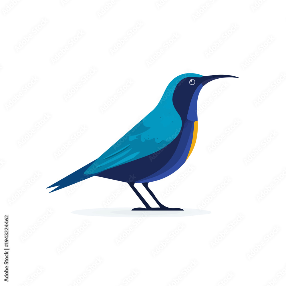 Obraz premium Sunbird in a clean 2D flat vector icon style, minimal and simple, set on a plain white background.