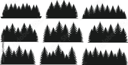 Silhouettes of dense forest with tall evergreen trees on a white background