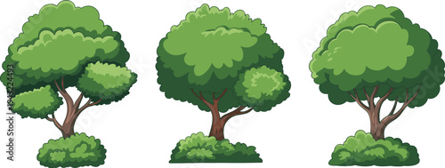 Three Large Green Trees with Bushes at the Base on a White Background nature