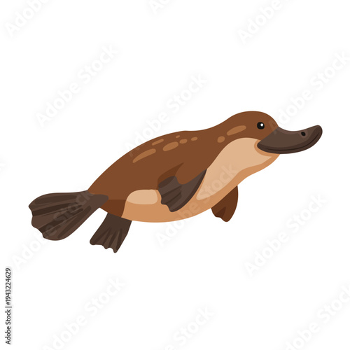 Modern flat 2D vector illustration of Platypus, clean and minimal design, isolated on white background.
