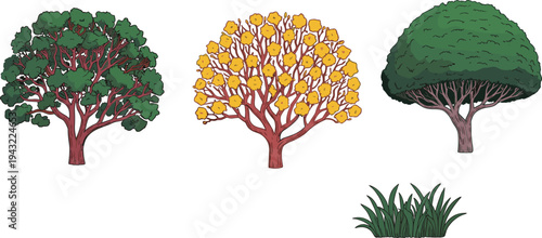 Three Trees with Green and Yellow Leaves and a Patch of Grass green leaves branches trunk
