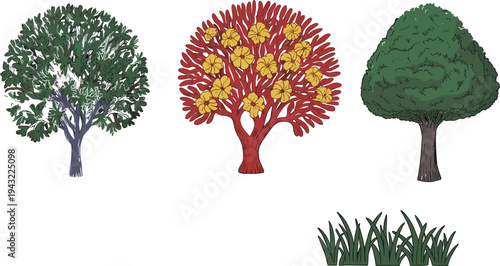 Three colorful trees and green grass in a nature yellow leaves