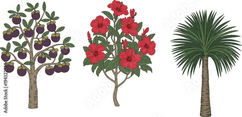 Three distinct plants including a tree with purple fruit, a flowering bush with red blooms, and a tall palm tree