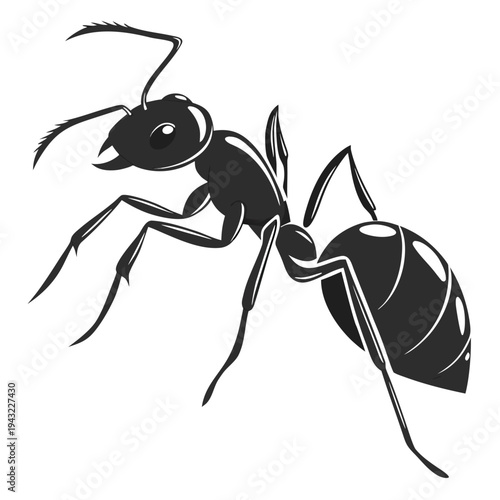 Vector illustration of black ant insect crawling isolated on white background silhouette