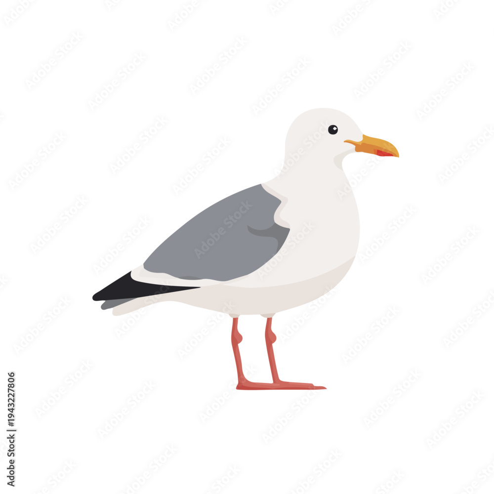 Obraz premium Seagull, 2D flat vector illustration, simple and modern style, isolated on a plain white background.