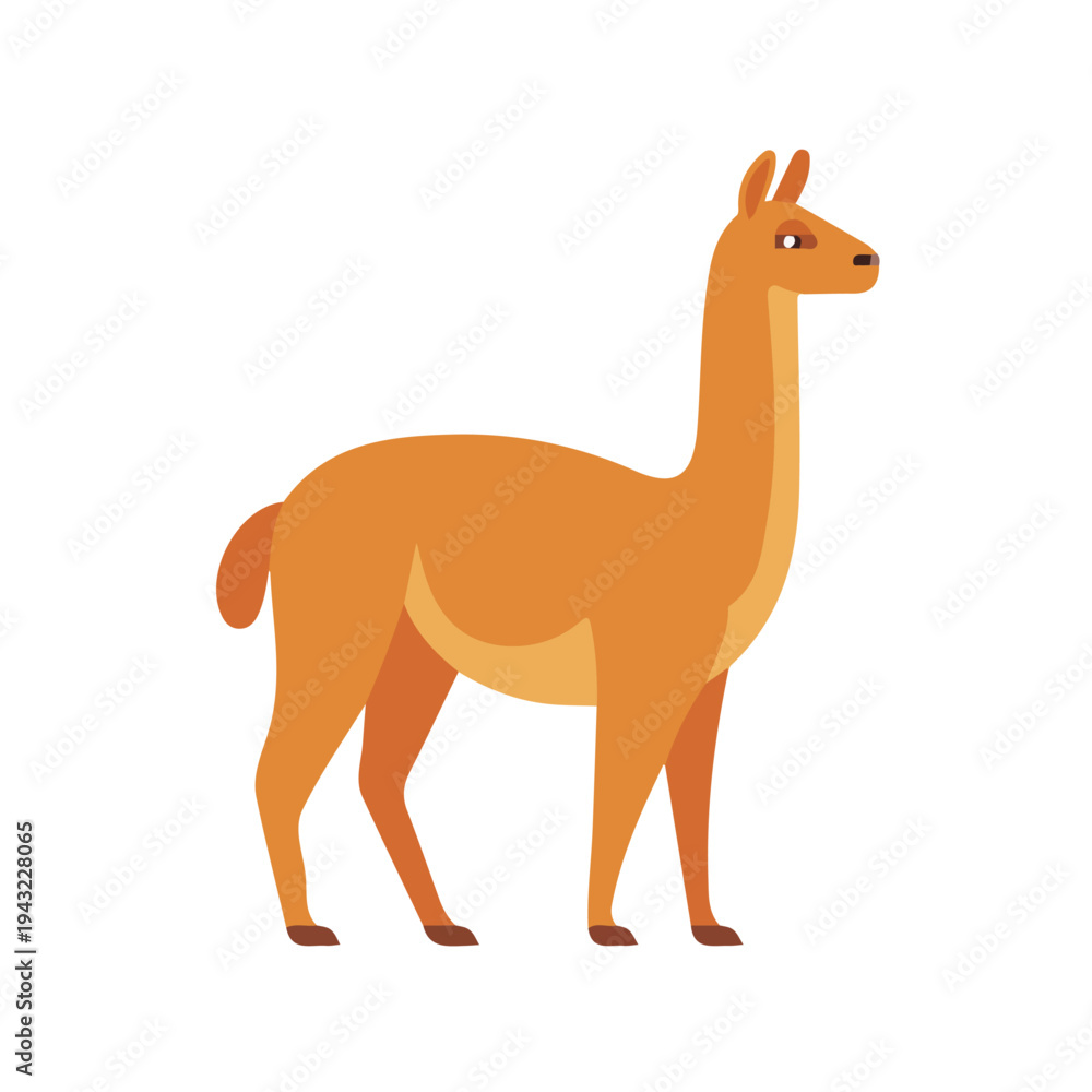 Fototapeta premium Modern flat 2D vector illustration of Guanaco, clean and minimal design, isolated on white background.