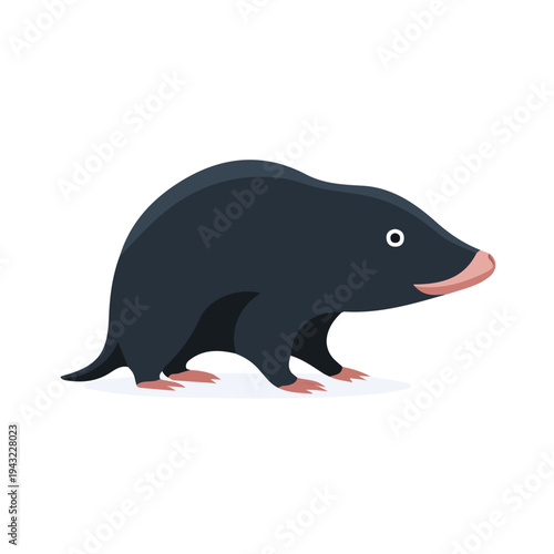 Mole, 2D flat vector illustration, simple and modern style, isolated on a plain white background.