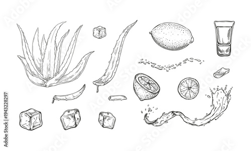 Aloe vera leaves, ice cubes, lemon or lime, shot glass, and dynamic water splashes monochrome vector set painted by black inks. Ingredient clip art for juice bar menus, cocktail lounge signage