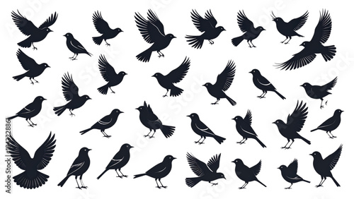Bird Silhouette Icon Set Flying and Perched Wildlife Vector Collection