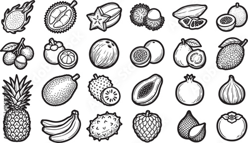 Exotic tropic fruit variety in vintage engraving style showcasing a diverse collection of fruit, from the spiky dragon fruit to the textured durian.