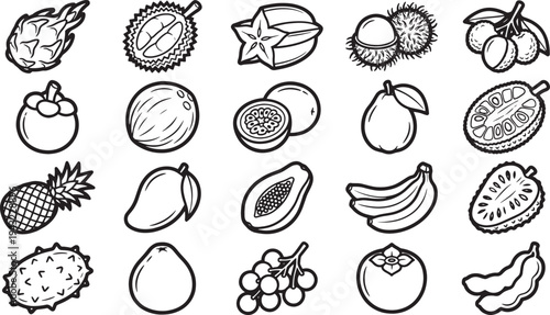 A collection of various tropical fruits illustrated with outlines, offering a fresh, and appealing artistic depiction.