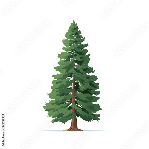 Minimal 2D vector illustration of Redwood Tree in flat icon style on a plain white background.