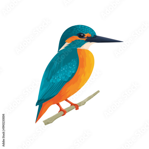 Simple flat 2D vector graphic of Kingfisher, modern icon look, displayed on a pure white background.