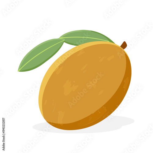 Flat 2D vector illustration of Sapodilla, simple icon style on a clean white background.