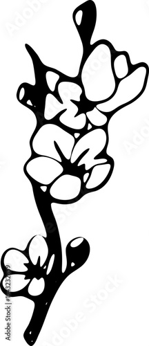 Branche de cerisier en fleur