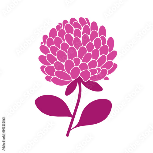 Globe Amaranth, modern 2D flat vector illustration in icon style, isolated on pure white background.