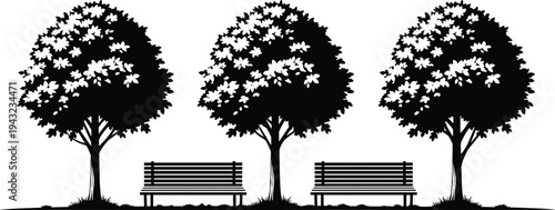 Black silhouette of three leafy trees and two wooden park benches in a row isolated on white background for outdoor nature vector illustration