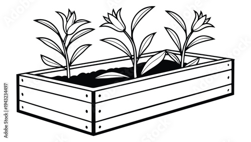Vector illustration of outline illustration of plants with flowers growing in a wooden planter box