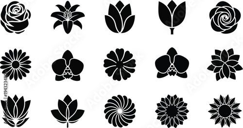 Black and white floral flowers silhouettes