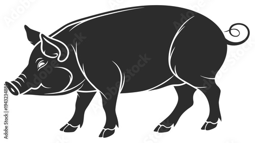 Vector illustration of stylized black and white pig farm animal vector illustration