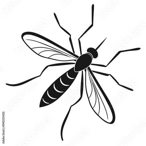Vector illustration of black and white vector illustration of a mosquito