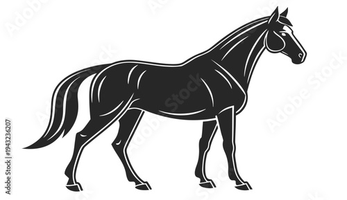 Vector illustration of silhouette of a horse, simple line drawing