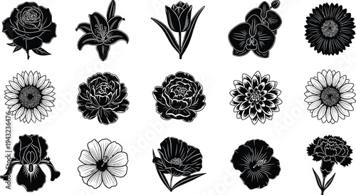 Black and white floral on white background flowers shapes
