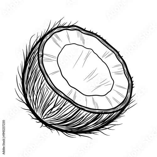 Coconut half with fibrous shell and white inner meat  