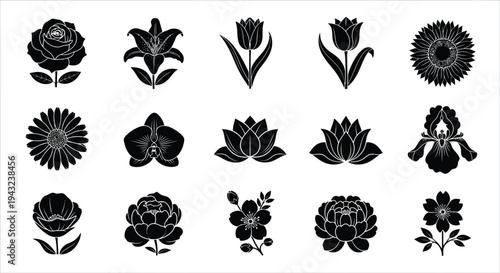 Black and white floral on white background flowers silhouettes 2