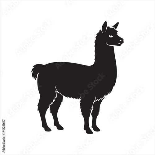 alpaca silhouette vector, black and white silhouette, vector and illustration