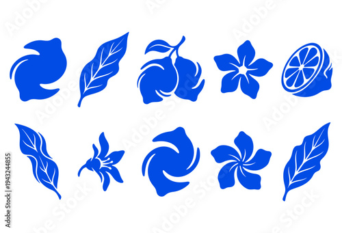 Set of stylized blue citrus lemon fruit leaves and blossom silhouettes