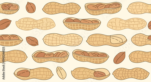 Assorted Peanuts in Shells and Open.