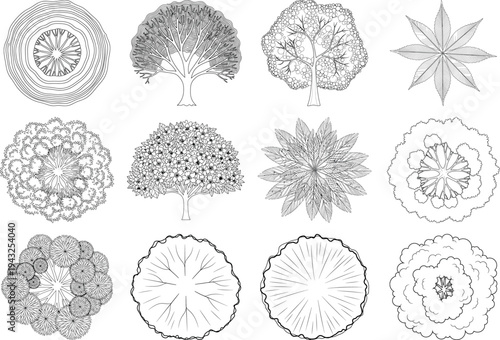 Collection of various circular botanical illustrations isolated on transparent background