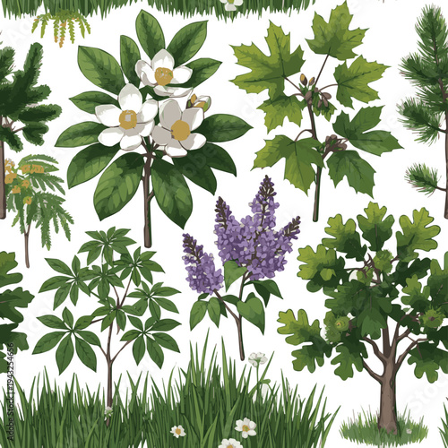 Wild flowers and green leaves.Create a Set Isolated on White Background Spring and Summer Plants, Trees and Bushes, Magnolia, Maple, Lilac, Castor, Acacia, Fir, Pine, Chestnut, Maple, Oak and Green.