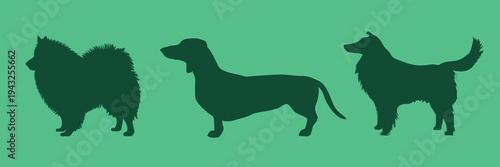 Silhouettes of various dog breeds vector set
