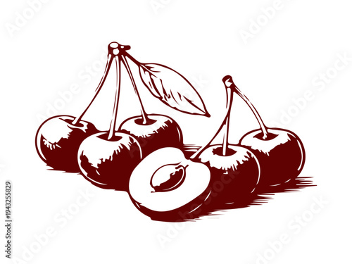 Simple hand drawn cherry branch icon, engraved illustration.