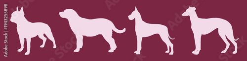 Silhouettes of various dog breeds vector set