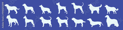 Silhouettes of various dog breeds vector set