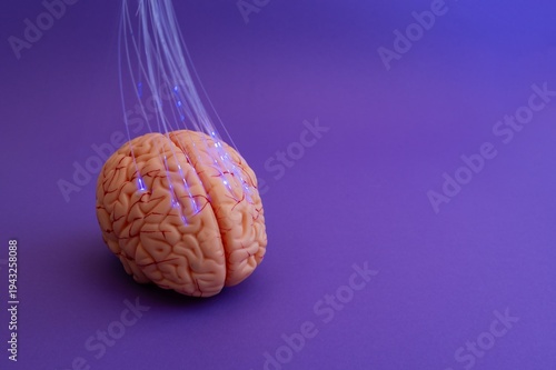 Purple day. Epilepsy awareness day. Neurolink example